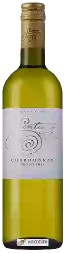 Winery Sentiero dei Pini - Chardonnay