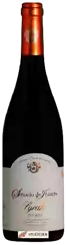 Winery Señorío de Iniesta - Syrah