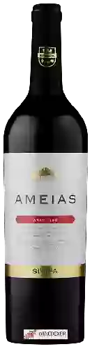 Winery Sivipa - Ameias Aragonês