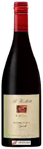 Winery St Hallett - Higher Earth Syrah