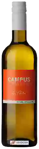 Winery Studier - Campus Rivaner Trocken