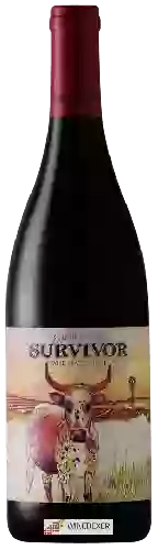 Winery Survivor - Wild Yeast Syrah