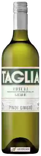 Winery Taglia - Pinot Grigio