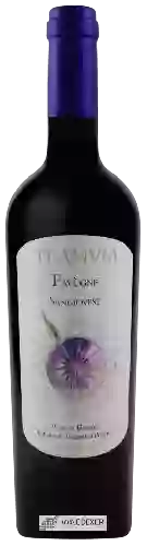 Winery Teanum - Favùgnë Sangiovese