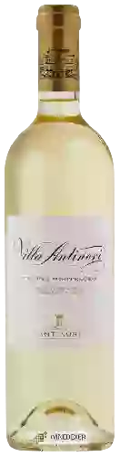 Winery Tenuta Monteloro - Villa Antinori Pinot Bianco