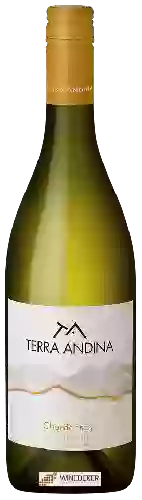 Winery Terra Andina - Chardonnay