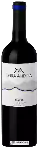 Winery Terra Andina - Merlot