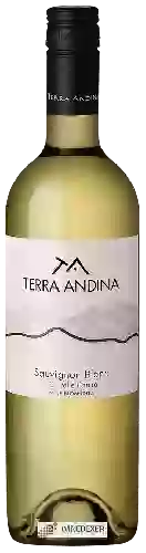 Winery Terra Andina - Sauvignon Blanc