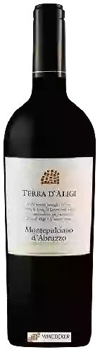 Winery Terra d'Aligi - Montepulciano d'Abruzzo