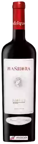 Winery Rodríguez Sanzo - Plañidera