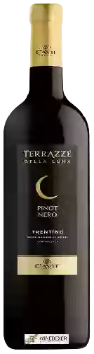 Winery Terrazze della Luna - Pinot Nero