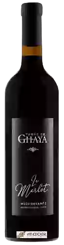 Winery Terre de Ghaya - Le Merlot