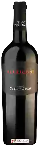 Winery Terre di Gratia - 170 Perricone