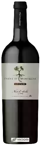 Winery Terre di Montelusa - Altopiano Nero d'Avola