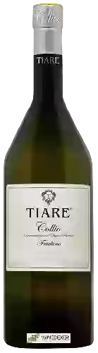 Winery Tiare - Collio Friulano