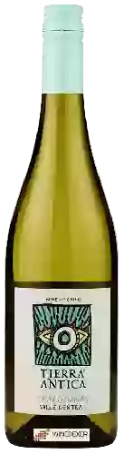 Winery Tierra Antica - Chardonnay