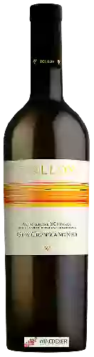 Winery Tolloy - Gewürztraminer