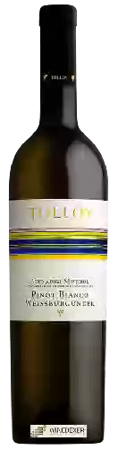 Winery Tolloy - Pinot Bianco