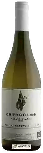 Winery Tomassetti - Cercanome Bianco