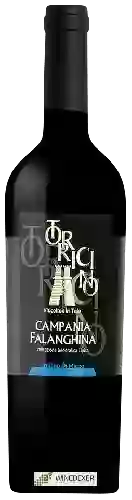 Winery Torricino - Campania Falanghina