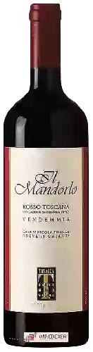 Winery Triacca - IL Mandorlo Toscana