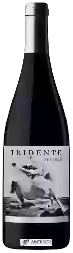 Winery Tridente - Mencia