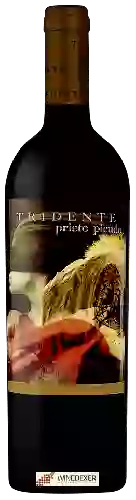 Winery Tridente - Prieto Picudo