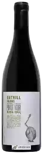 Winery Anthill Farms - Hawk Hill Vineyard Pinot Noir