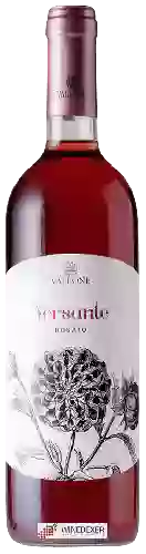 Winery Vallone - Versante Rosato