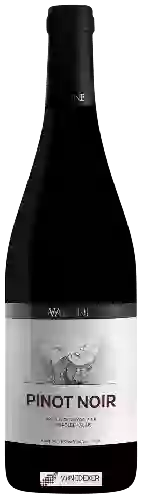 Winery Varone - Pinot Noir