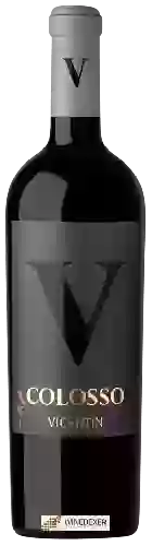 Winery Vicentin - Colosso