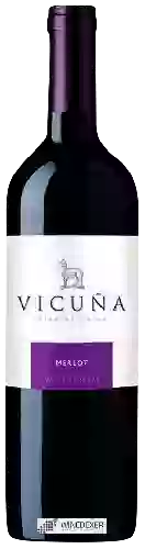 Winery Vicuña - Merlot