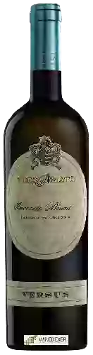Winery Vignamato - Versus Incrocio Bruni 54