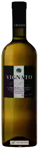 Winery Vignato Davide - Col Moenia Gambellara Classico