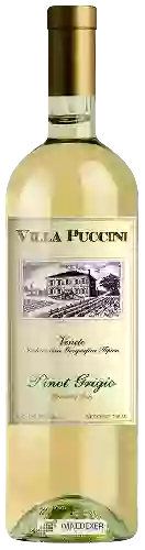 Winery Villa Puccini - Pinot Grigio Veneto