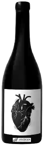 Winery Vin Noé - Amour Vache