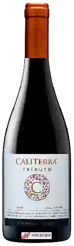 Winery Caliterra - Tributo Syrah