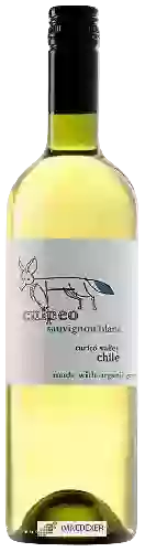 Winery La Fortuna - Culpeo Sauvignon Blanc
