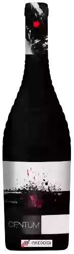 Winery Viña Tridado - Centum Roble