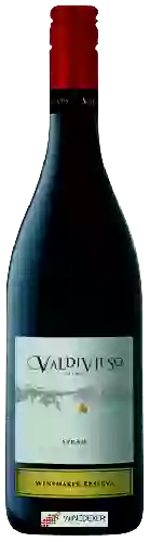 Winery Valdivieso - Winemaker Reserva Syrah