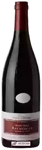 Winery Vincent Prunier - Bourgogne Pinot Noir