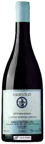 Winery Vinding Montecarrubo - Vignolo