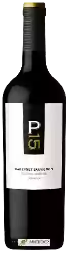 Winery Malma - NQN - Cabernet Sauvignon Picada 15