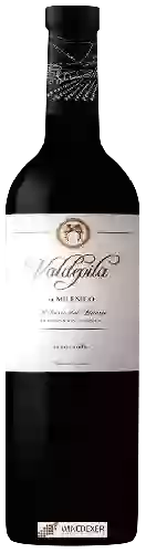 Winery Viñedos Milénico - Valdepila Tempranillo