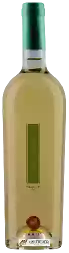 Winery Carus Vini - Leukòs