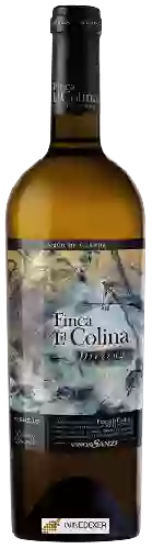 Winery Vinos Sanz - Finca La Colina Dressage