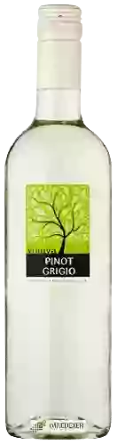 Winery Vinuva - Pinot Grigio