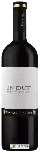 Winery Volpaia - Indue Two Together