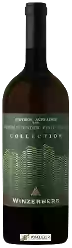 Winery Winzerberg - Collection Weissburgunder (Pinot Bianco)