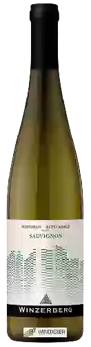 Winery Winzerberg - Sauvignon